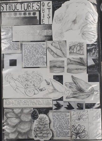 "𝗦𝘁𝗿𝘂𝗰𝘁𝘂𝗿𝗲𝘀:𝗢𝗯𝗷𝗲𝗰𝘁𝘀" traditional practice study drawings with objects around the class